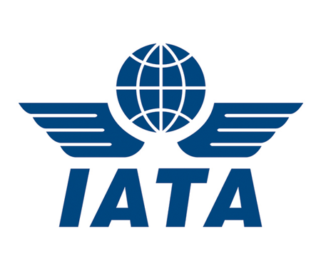 IATA logo for case study