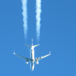 Boeing 737-900 Max inflight